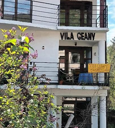 Pensiunea Vila Geany Srl Băile Herculane Exterior foto