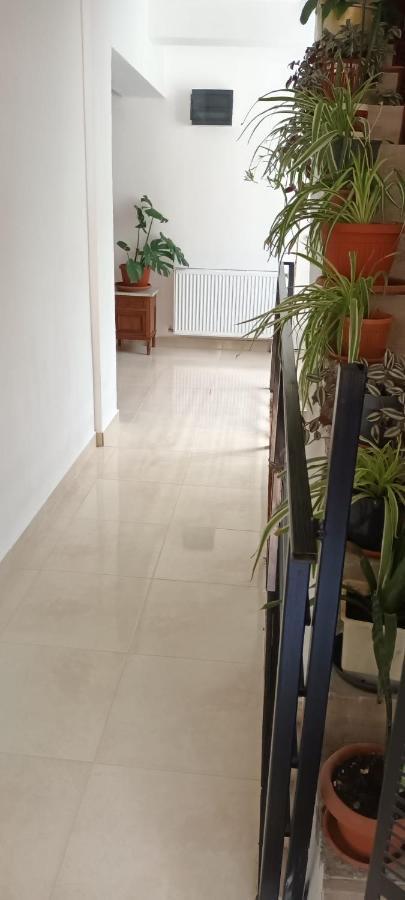 Pensiunea Vila Geany Srl Băile Herculane Exterior foto